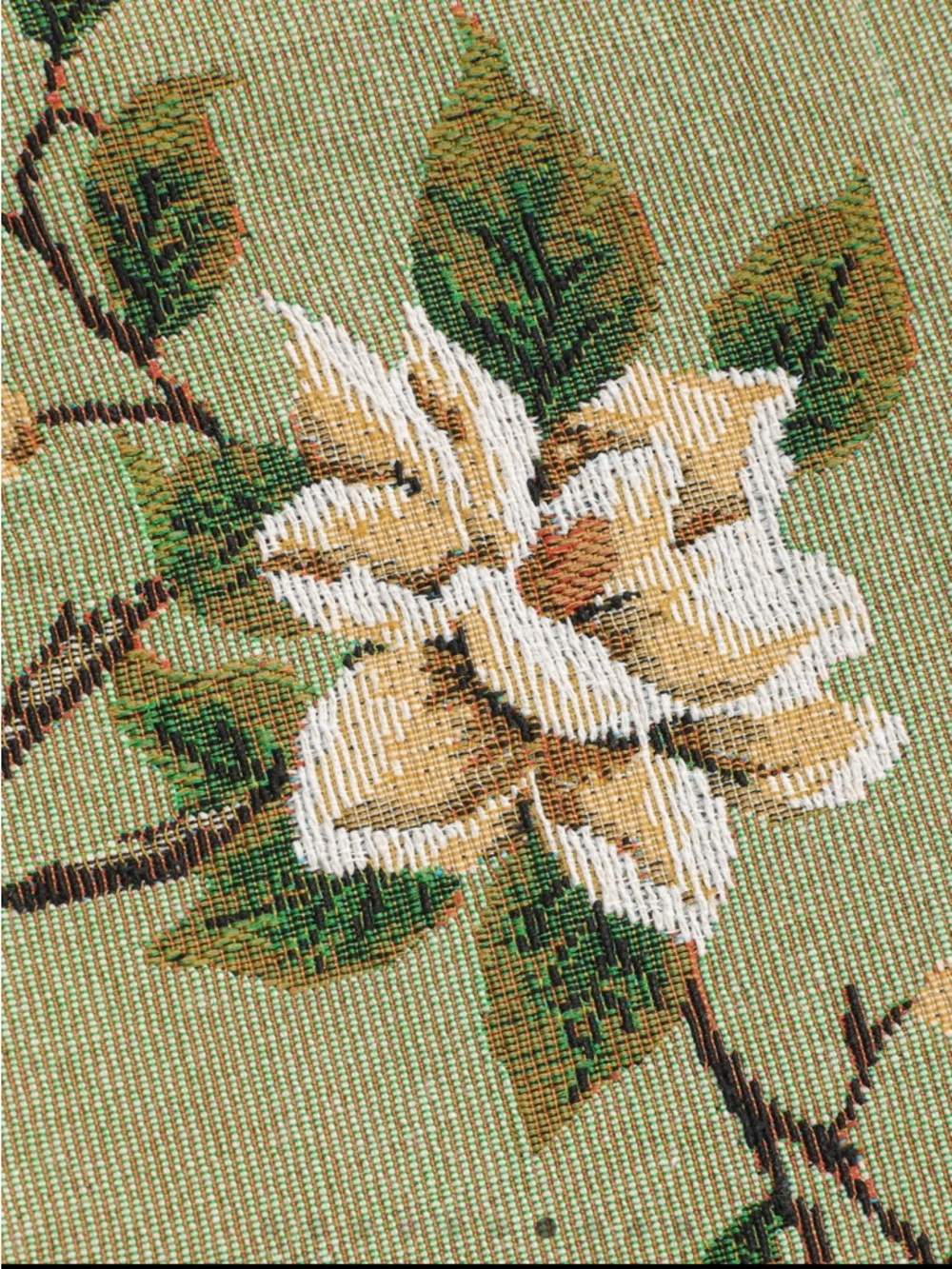 Cider Green Floral Lace-Up Crop Top - Picture 5 of 5